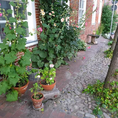 Siel 40 45253 * Ditzum