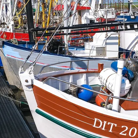 Siel 40 45253 Ditzum