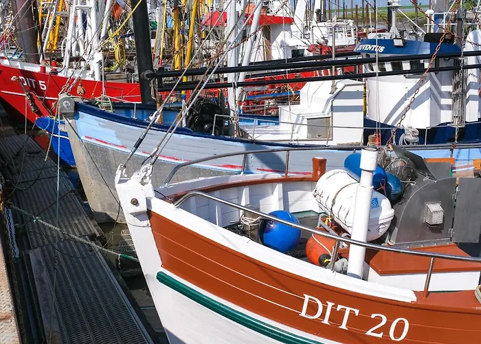 Siel 40 45253 * דיצום