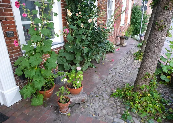 Siel 40 45253 * דיצום